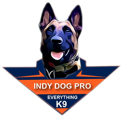 Dog training in Danville, Cloverdale, Brownsburg, Carmel, and Mooresville Indiana