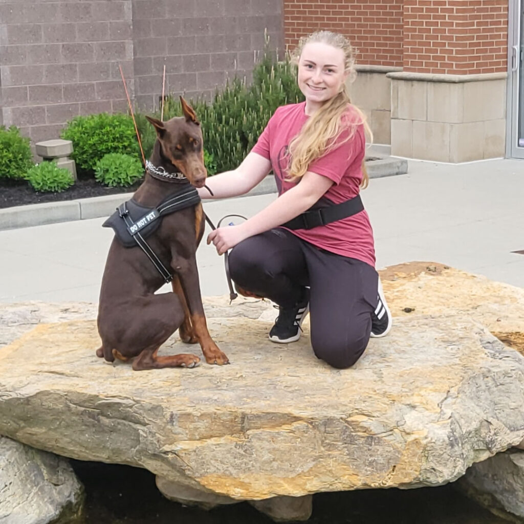 Dog sitting with trainer | Indy Dog Pro | Indianapolis Canine, K-9 Pet Board and Training, Obedience and Sport training in West Indy, Avon, Danville Indiana. Plainfield, Brownsburg